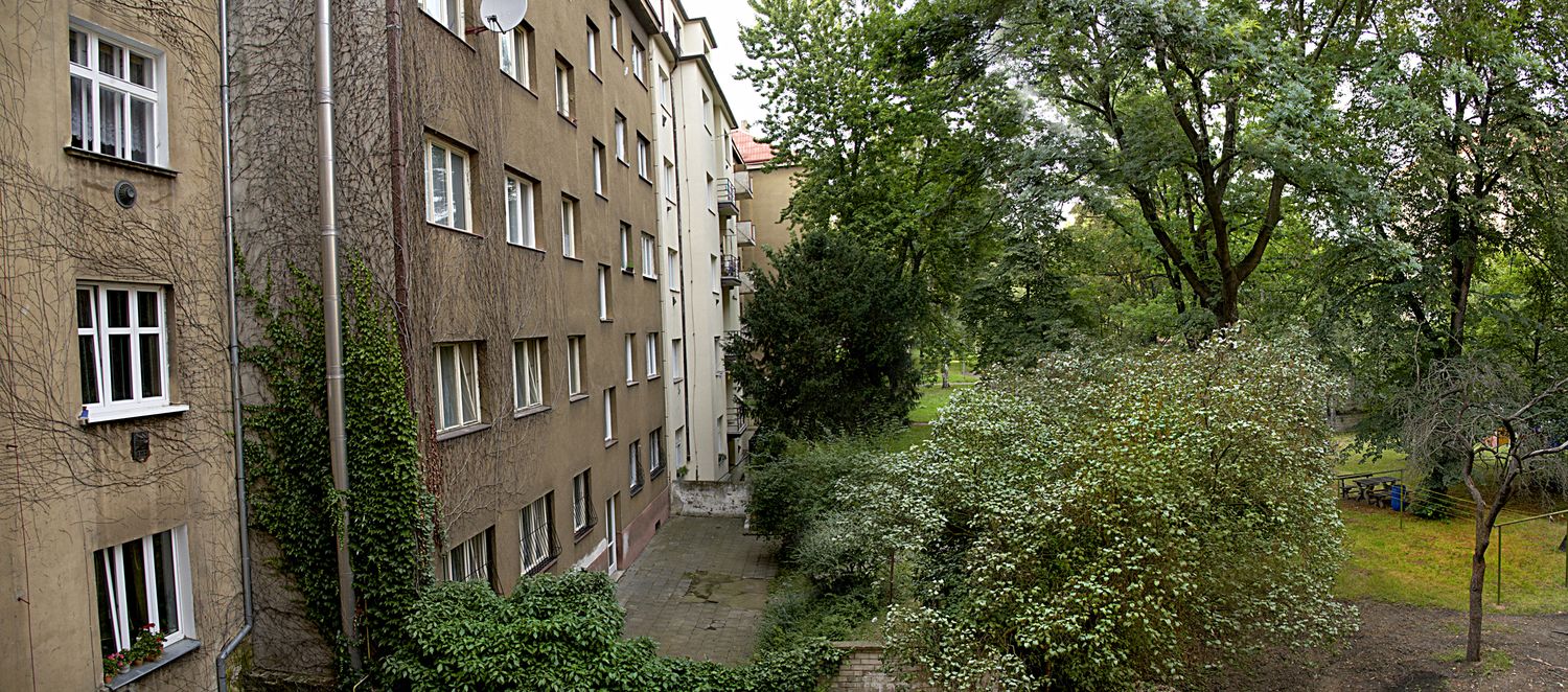 Courtyard and garden