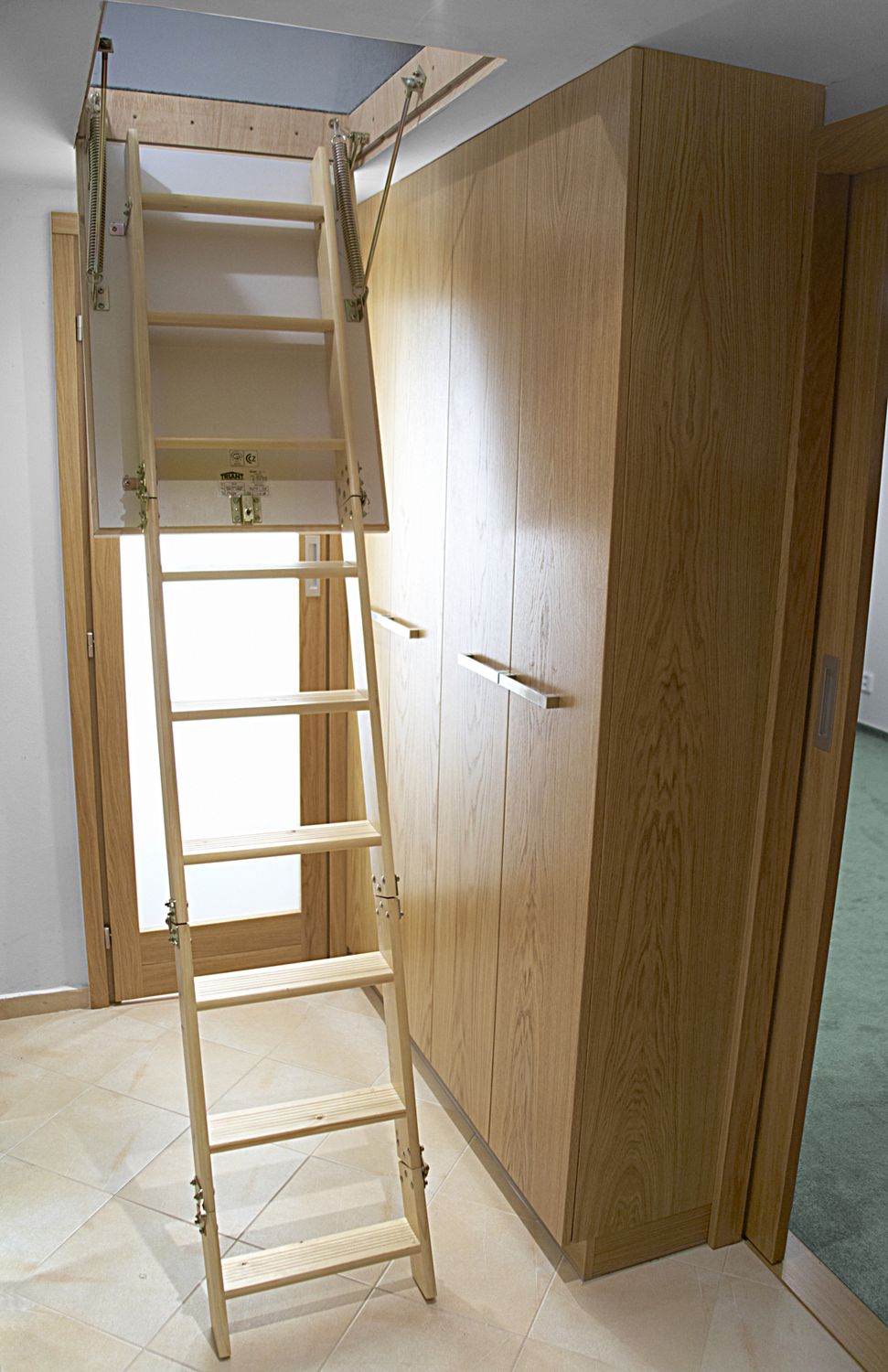 ATTIC / LADDER